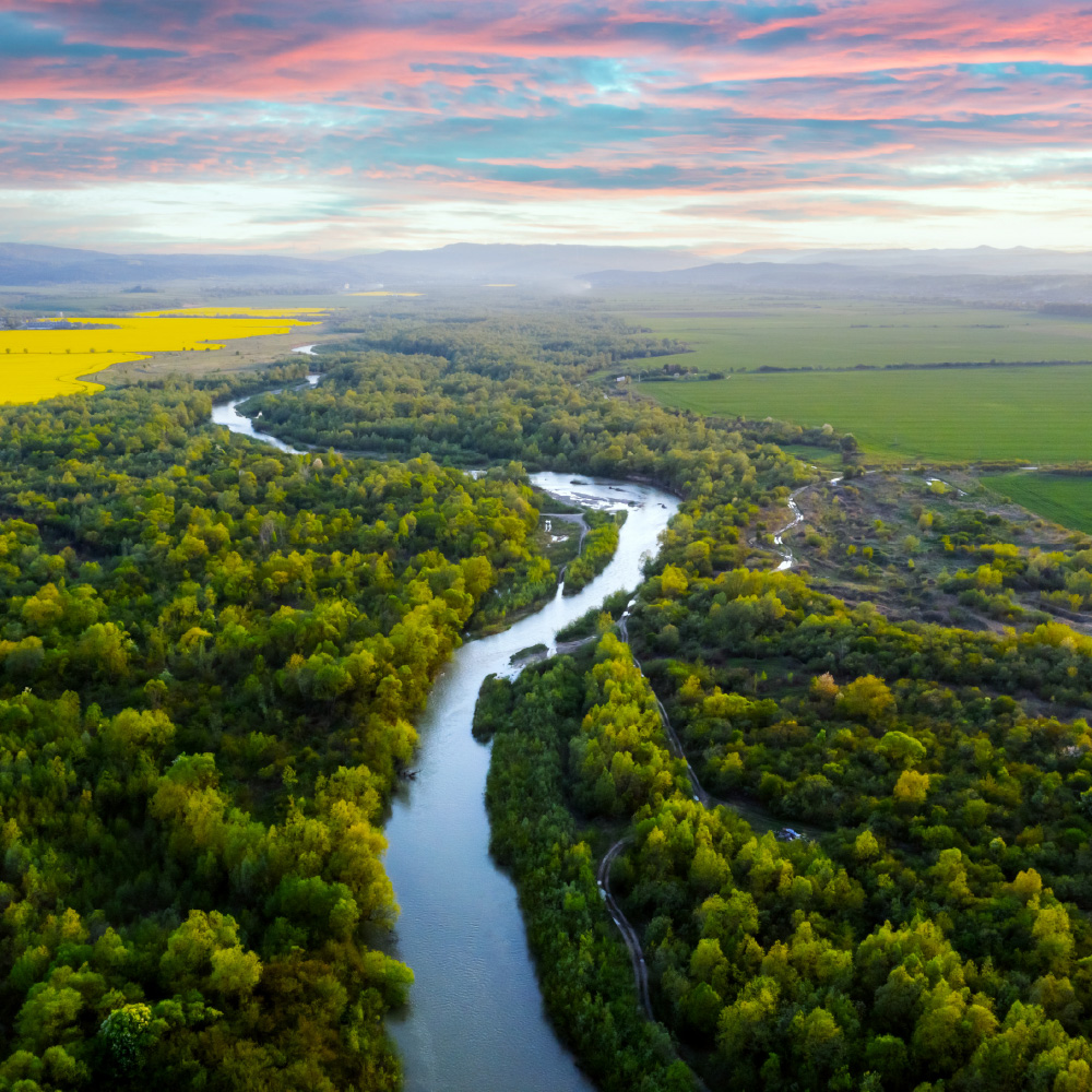Steve Weymer Image