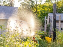 Steve Weymer - Harvesting System