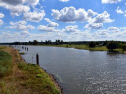 Steve Weymer-Water Management