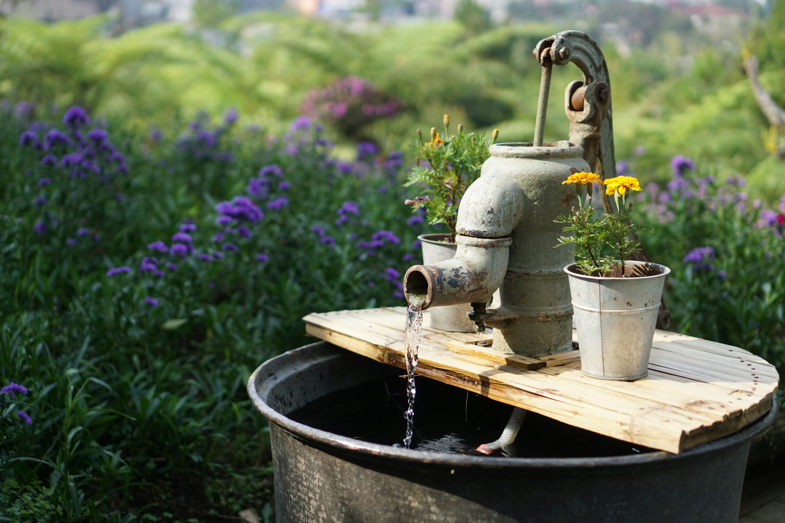 Water-Efficient Gardening