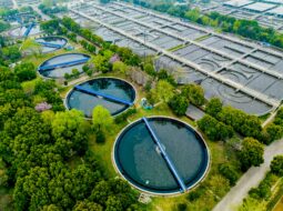 Smart Water Conservation Strategies for Businesses